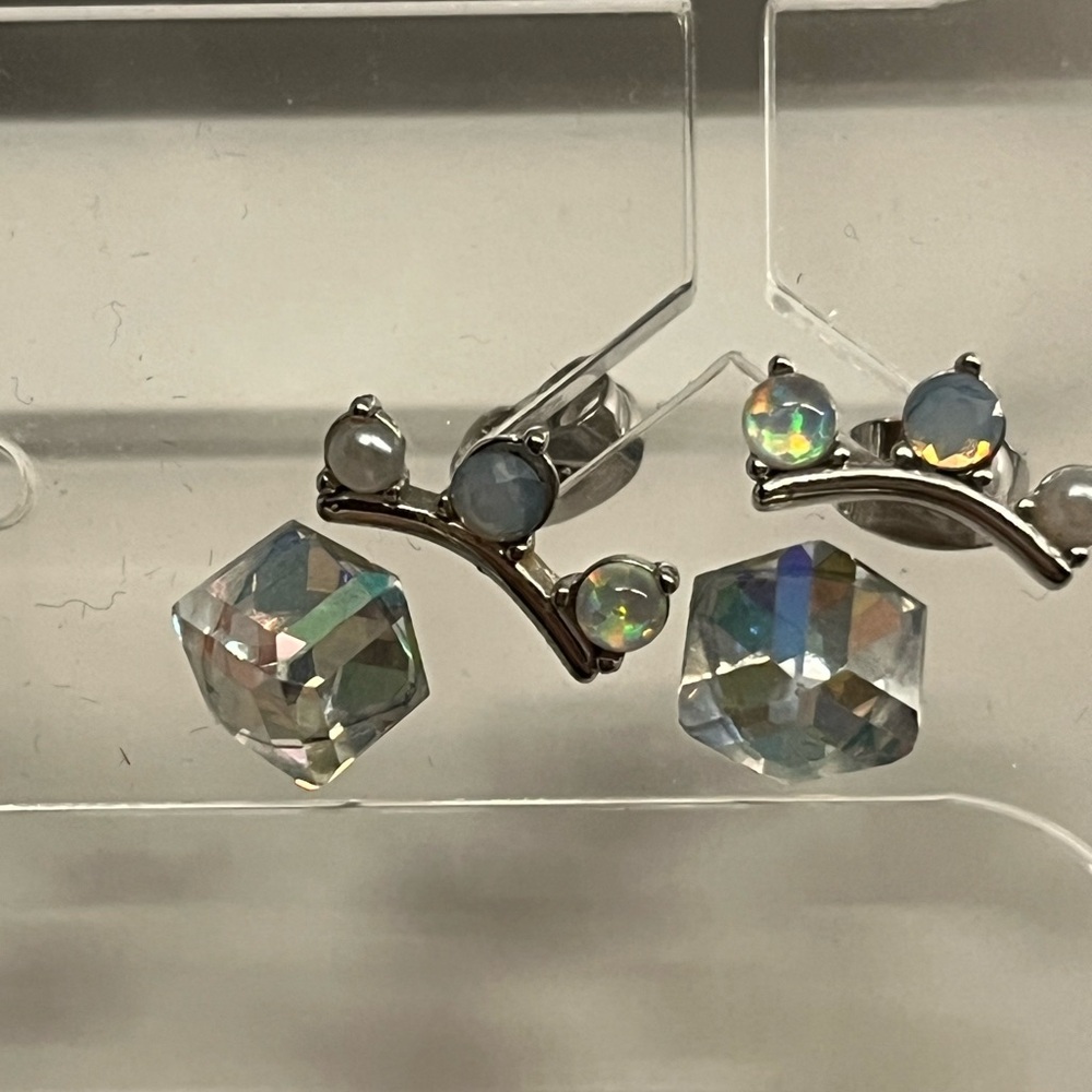 Iridescent Crystal and Silver Branch Earrings